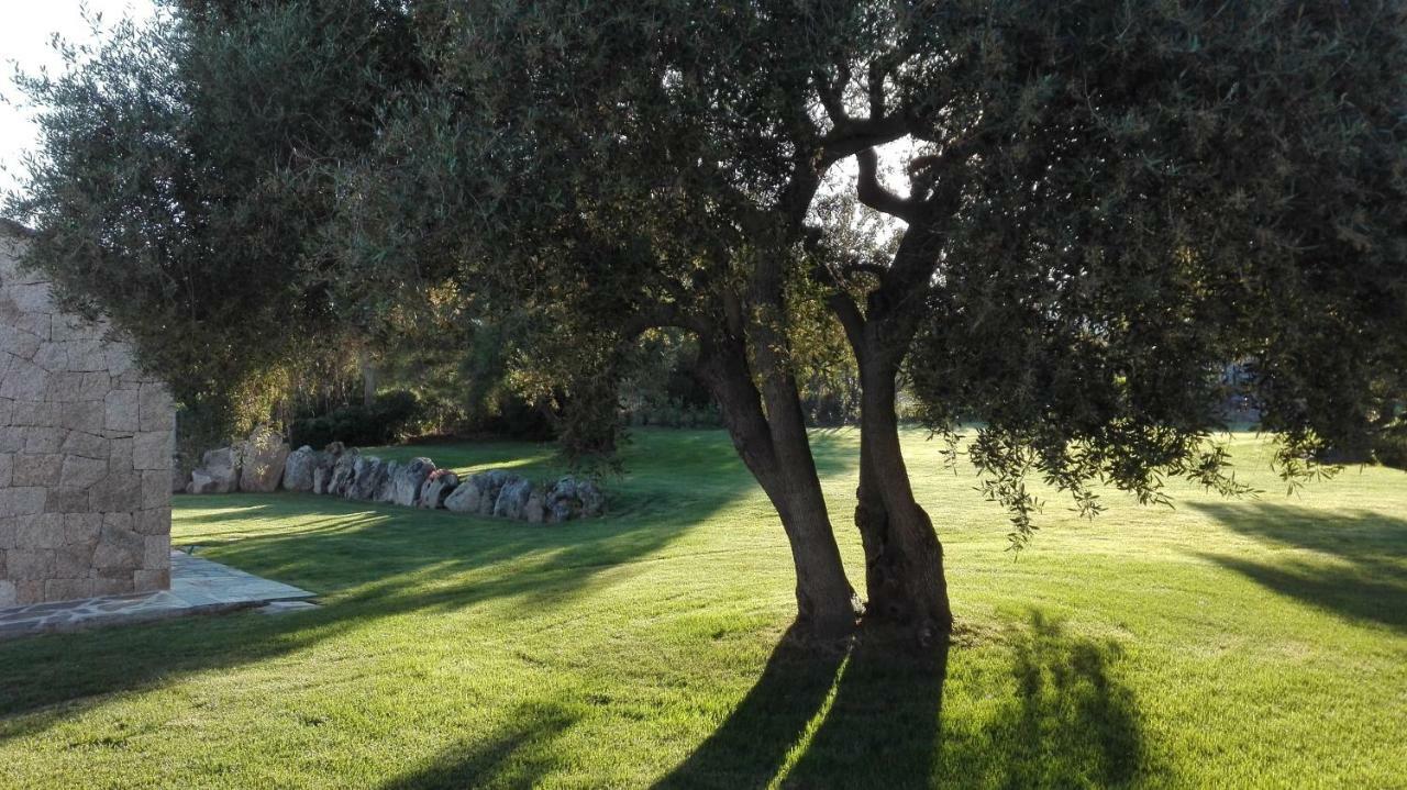 B&B Majore Olbia Exteriör bild