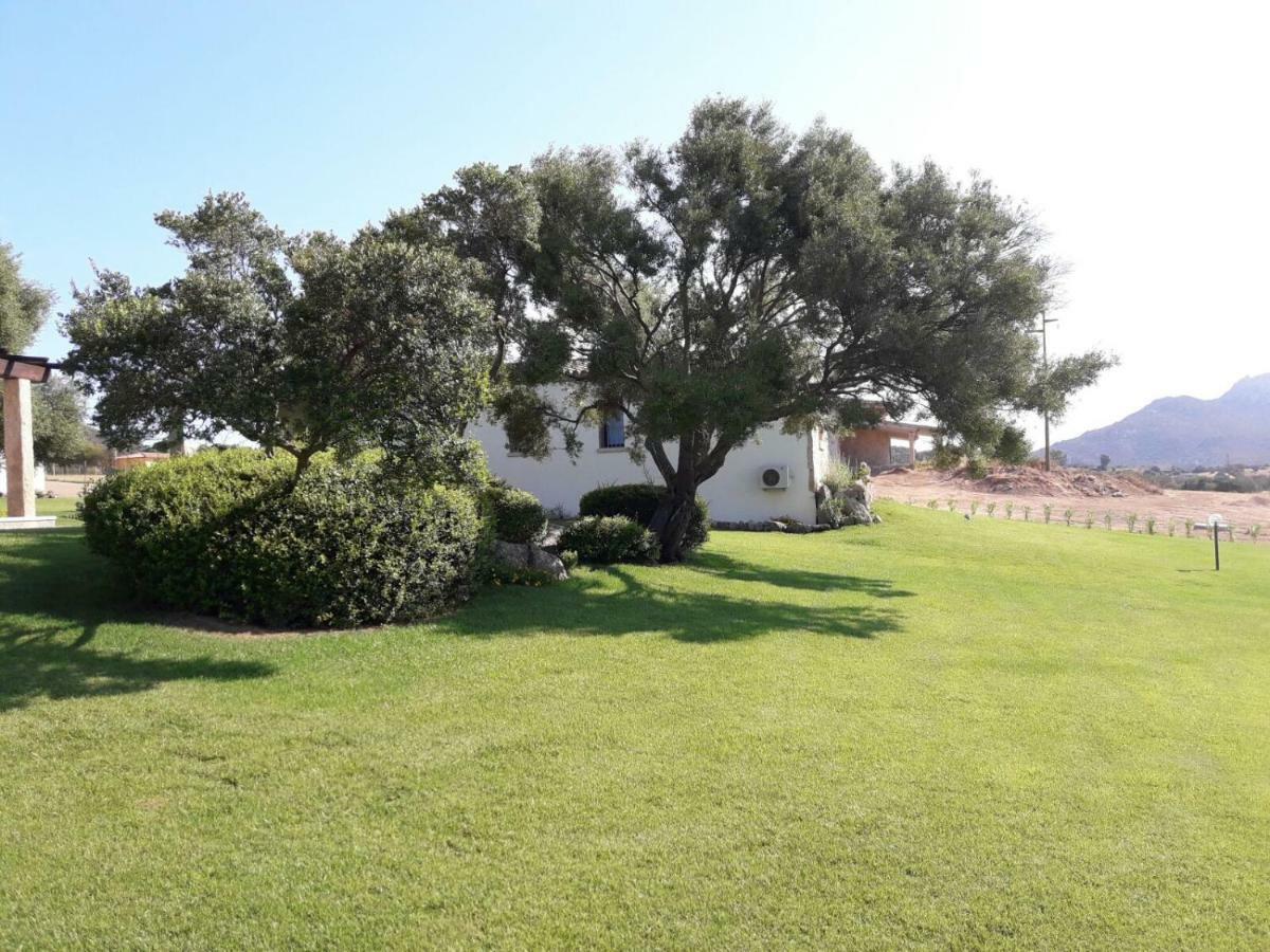 B&B Majore Olbia Exteriör bild