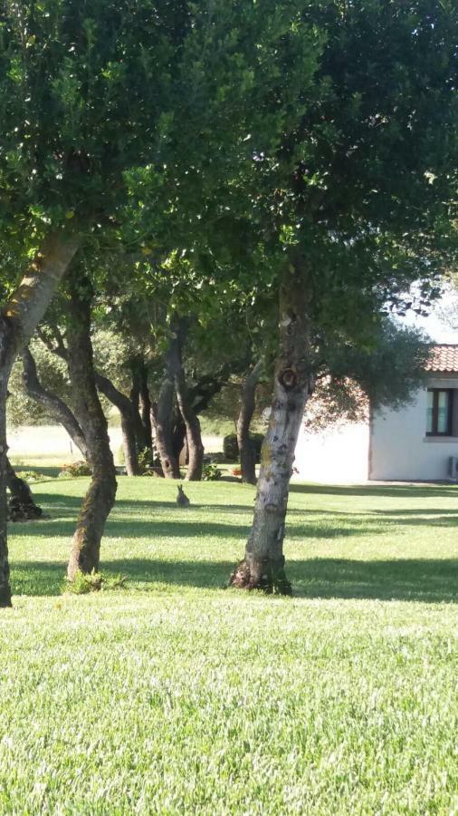 B&B Majore Olbia Exteriör bild