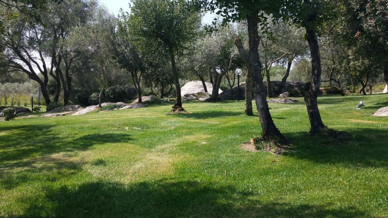 B&B Majore Olbia Exteriör bild