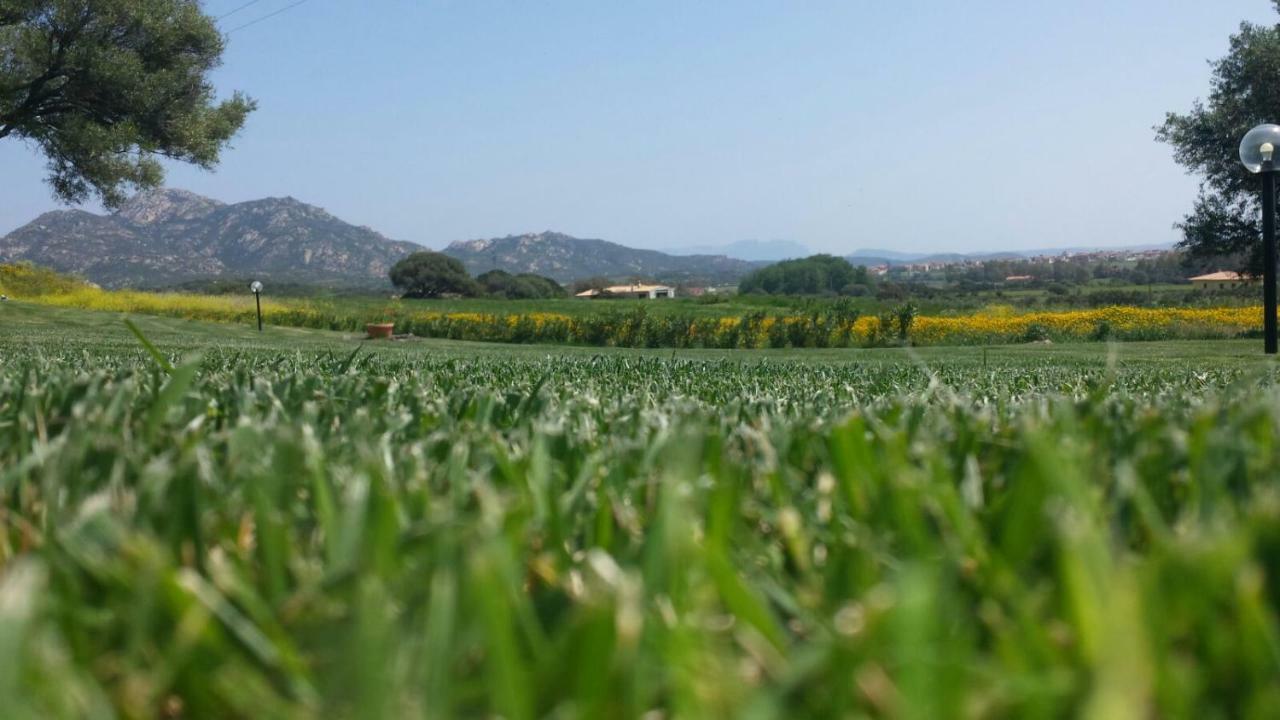 B&B Majore Olbia Exteriör bild